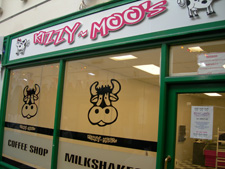 Kizzy-Moos window graphic